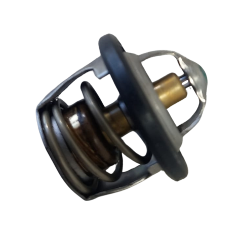 Valvula Termostatica BMW Modelo G310 R Ano 2021 Original