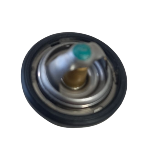 Valvula Termostatica BMW Modelo G310 R Ano 2021 Original
