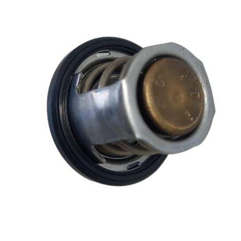 Valvula Termostatica BMW Modelo G310 R Ano 2021 Original