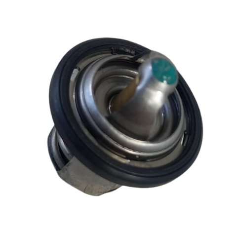 Valvula Termostatica BMW Modelo G310 R Ano 2021 Original