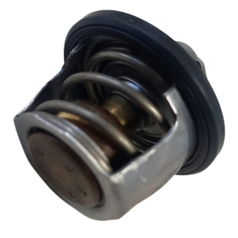 Valvula Termostatica BMW Modelo G310 R Ano 2021 Original