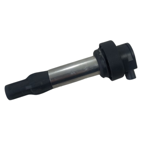 Bobina Ignição Marca BMW Modelo G310 R Ano 2021 Original