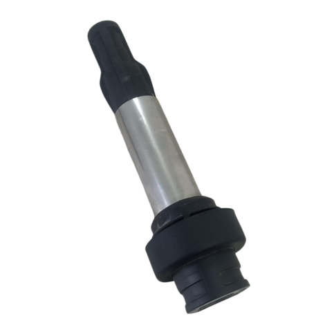 Bobina Ignição Marca BMW Modelo G310 R Ano 2021 Original