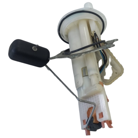 Bomba Combustivel Marca BMW Modelo G310 R Ano 2021 Original