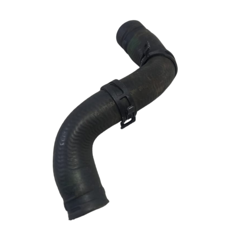 Mangueira Água Marca Bmw Modelo G310 R Ano 2021 Original