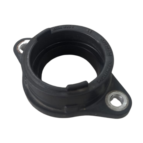 Coletor Admissão Marca BMW Modelo G310 R Ano 2021 Original