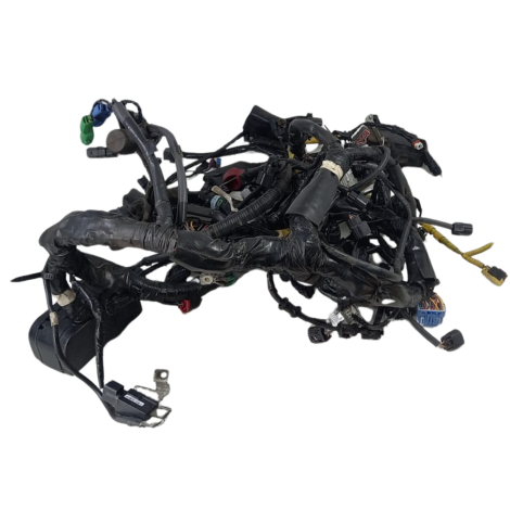 Chicote Principal Honda Gold Wing GL 1800 Ano 2019 Original