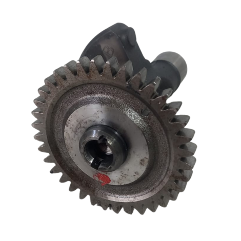 Balanceiro Virabrequim BMW Modelo G310 GS Ano 2019 Original