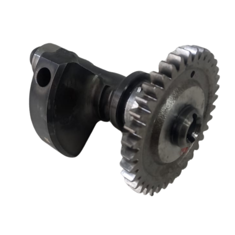 Balanceiro Virabrequim BMW Modelo G310 GS Ano 2019 Original