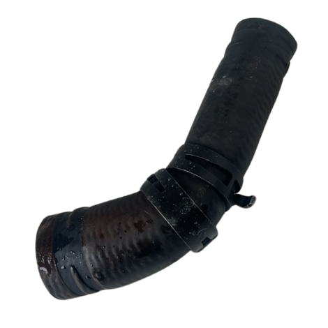Mangueira Água Marca Bmw Modelo G310 Gs Ano 2019 Original