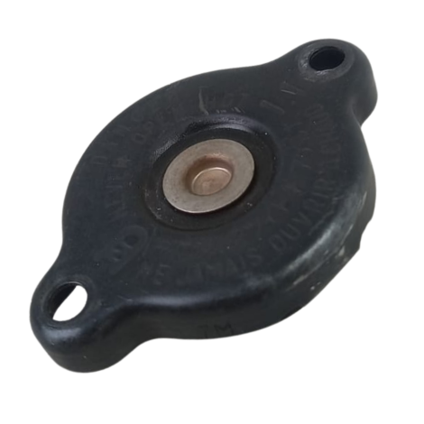 Tampa Radiador Marca Yamaha Modelo XJ6 N Ano 2010 Original