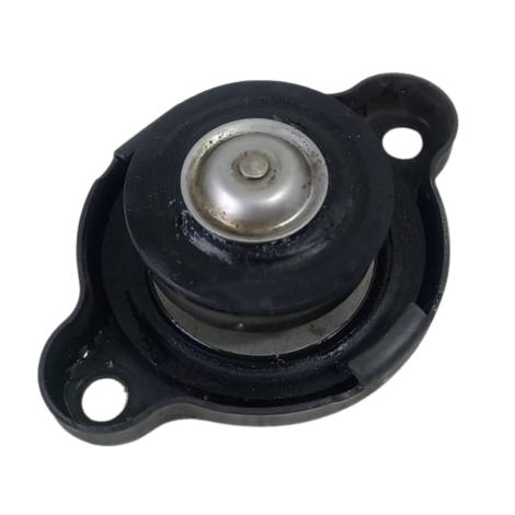 Tampa Radiador Marca Yamaha Modelo XJ6 N Ano 2010 Original