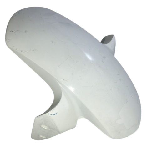 Paralama Dianteiro Marca Bmw Modelo G310 R Ano 2021 Original