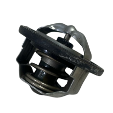 Valvula Termostatica Yamaha Fazer 600 FZ6 N 2009 Original