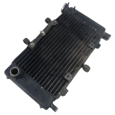 Radiador Água Yamaha Fazer 600 FZ6 N Ano 2009 Original