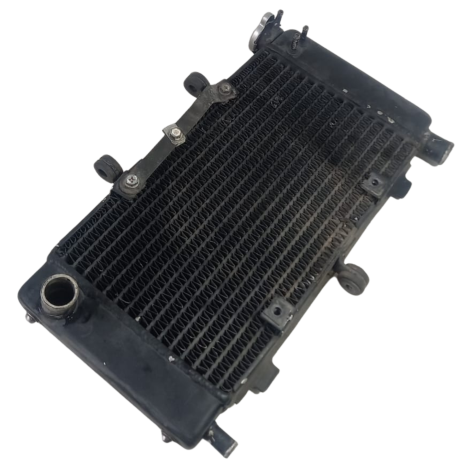 Radiador Água Yamaha Fazer 600 FZ6 N Ano 2009 Original