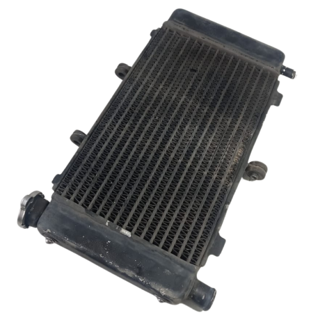 Radiador Água Yamaha Fazer 600 FZ6 N Ano 2009 Original