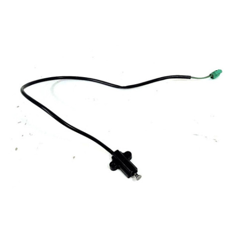 Sensor Pedal De Descanso Suzuki Gs 500 Ano 2008 2009 Origina