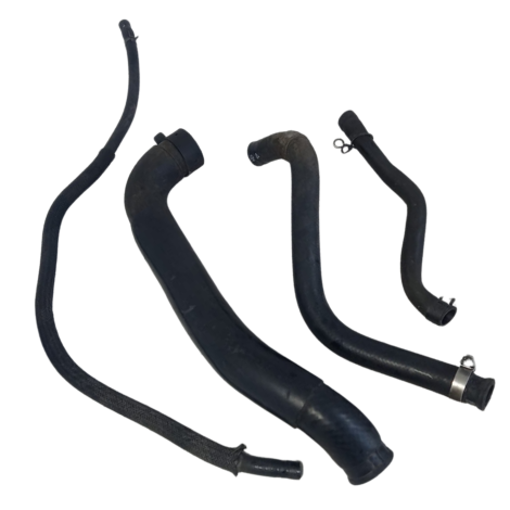 Mangueiras Arrefecimento Yamaha Fazer 600 FZ6 N 2009 Origina