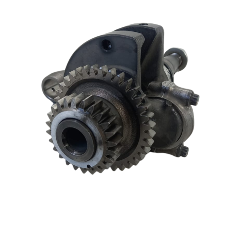Virabrequim Marca BMW Modelo G310 GS Ano 2019 Original