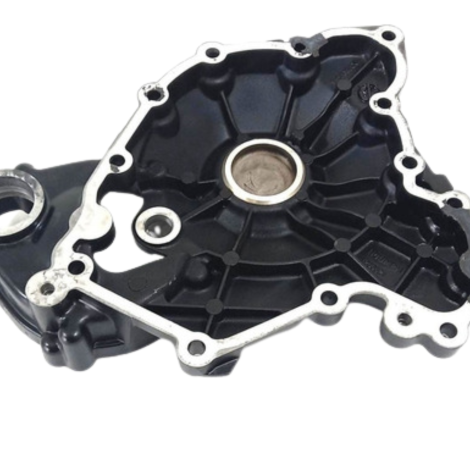 Tampa Motor Direita Frente Triumph Speed Triple 2013 Avaria