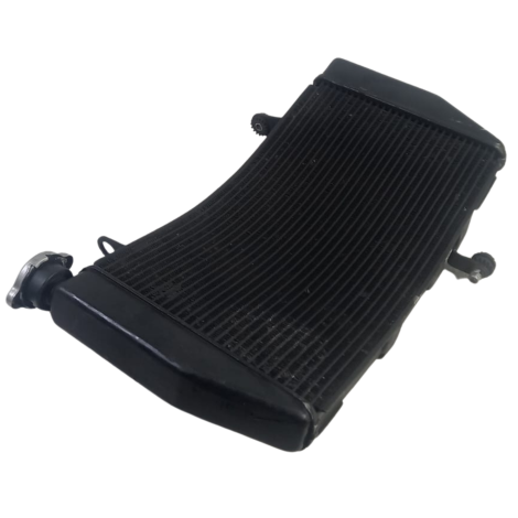 Radiador Água Marca Ducati Modelo 1098 Ano 2008 Original