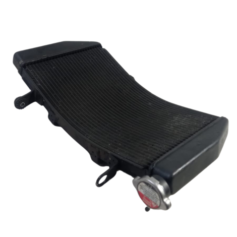 Radiador Água Marca Ducati Modelo 1098 Ano 2008 Original