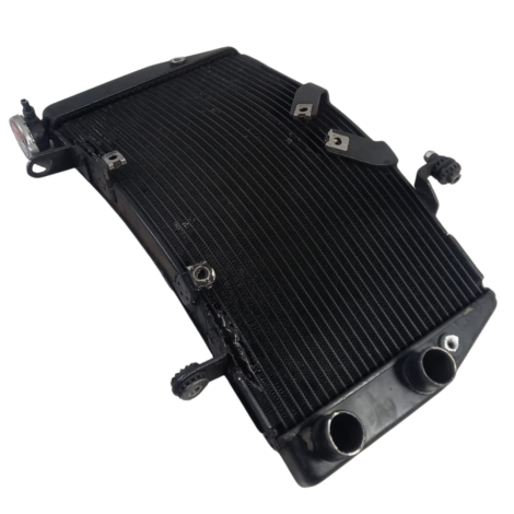 Radiador Água Marca Ducati Modelo 1098 Ano 2008 Original