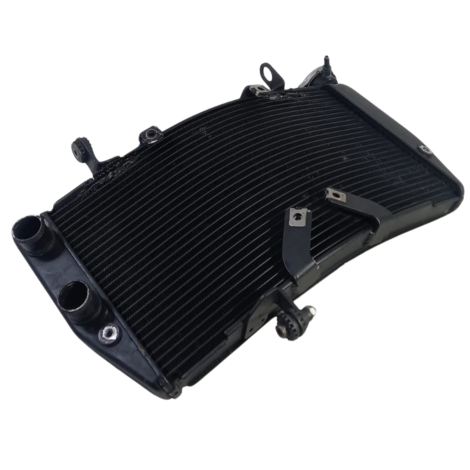 Radiador Água Marca Ducati Modelo 1098 Ano 2008 Original