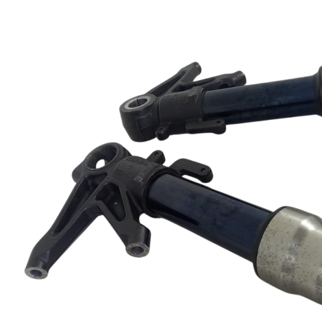 Par Bengala Marca Ducati Modelo 1098 Ano 2008 Original