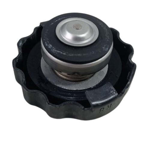 Tampa Radiador Suzuki V-Strom 1050 XT Ano 2025 Original