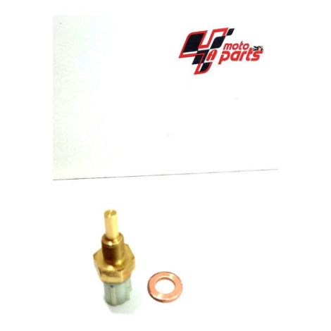 Sensor De Temperatura Yamaha Mt03 Ano 2020 2021 Original