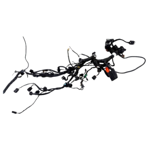 Chicote Principal Triumph Speed Triple 1050 2013 Recuperar!!