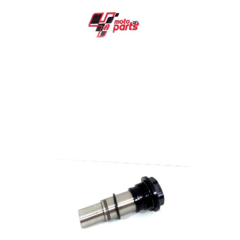 Esticador Corrente Comando Bmw S1000 Rr 2014 A 2018 Original
