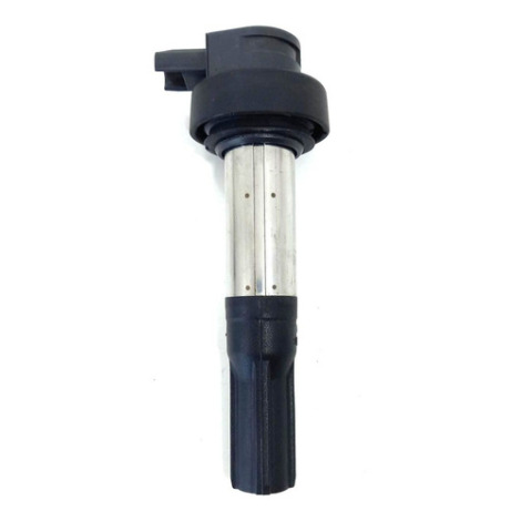 Cachimbo E Bobina Ignição Bmw S1000 Xr Ano 2016 Original