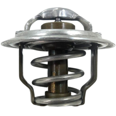 Válvula Termostática Bmw Modelo S1000 Xr Ano 2016 Original