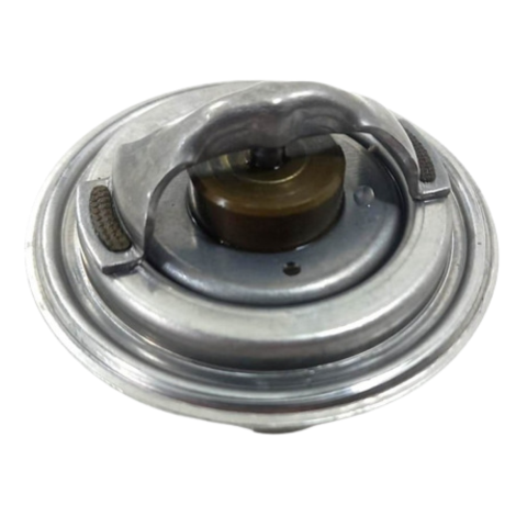 Válvula Termostática Bmw Modelo S1000 Xr Ano 2016 Original