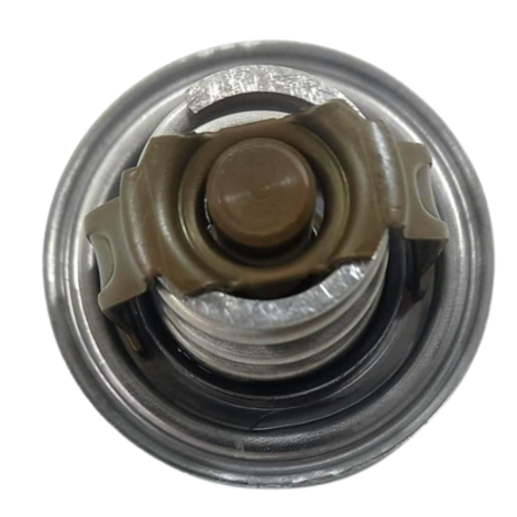 Válvula Termostática Bmw Modelo S1000 Xr Ano 2016 Original