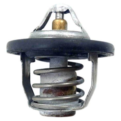 Válvula Termostática Suzuki Gsx 1300 Hayabusa 2012 Original