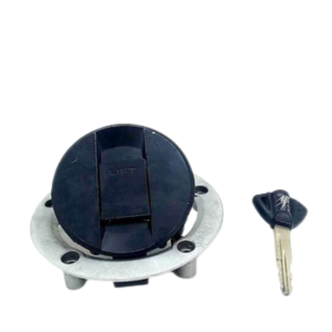 Tampa Tanque Marca Suzuki Gsx1300 Hayabusa Ano 2012 Original