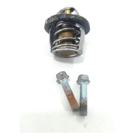 Válvula Termostática Kawasaki Ninja 250 Ano 2011 Original