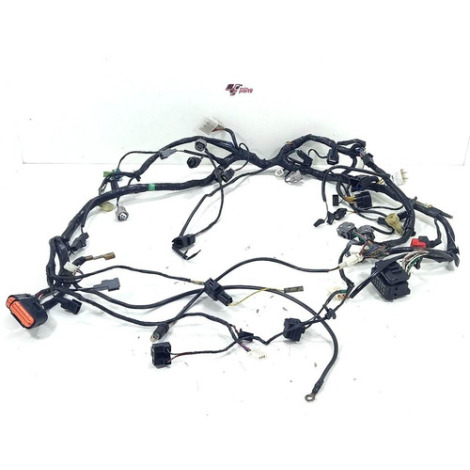 Chicote Principal Kawasaki Ninja 250 Ano 2011 Original