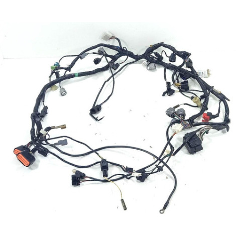 Chicote Principal Kawasaki Ninja 250 Ano 2011 Original