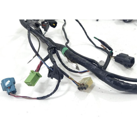 Chicote Principal Kawasaki Ninja 250 Ano 2011 Original