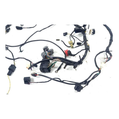 Chicote Principal Kawasaki Ninja 250 Ano 2011 Original