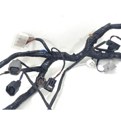 Chicote Principal Kawasaki Ninja 250 Ano 2011 Original