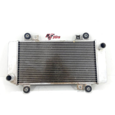 Radiador De Água Kawasaki Modelo Ninja 250 Ano 2011 Original