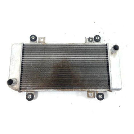 Radiador De Água Kawasaki Modelo Ninja 250 Ano 2011 Original