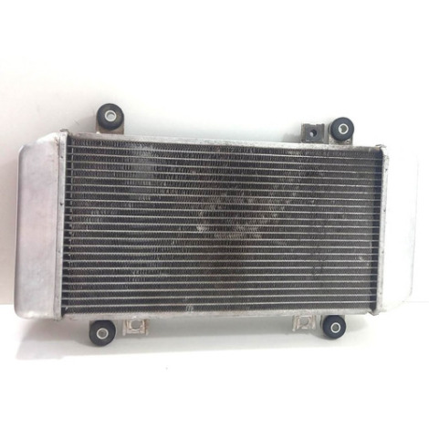 Radiador De Água Kawasaki Modelo Ninja 250 Ano 2011 Original