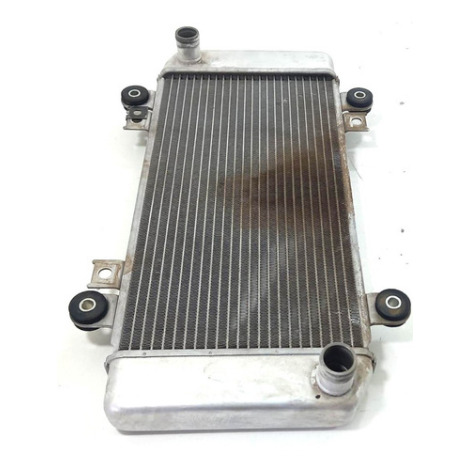 Radiador De Água Kawasaki Modelo Ninja 250 Ano 2011 Original